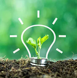 LED-Birne im Grünen LED-Birne im Grünen